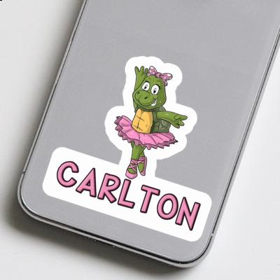 Turtle Sticker Carlton Gift package Image