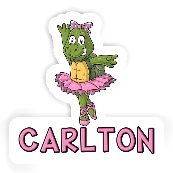 Turtle Sticker Carlton Image