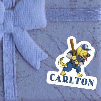 Carlton Sticker Baseball Dog Laptop Image