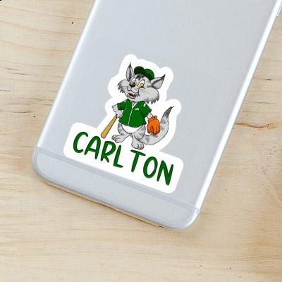 Sticker Cat Carlton Gift package Image