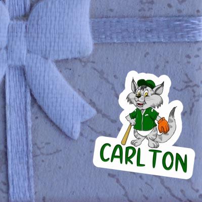 Sticker Cat Carlton Laptop Image