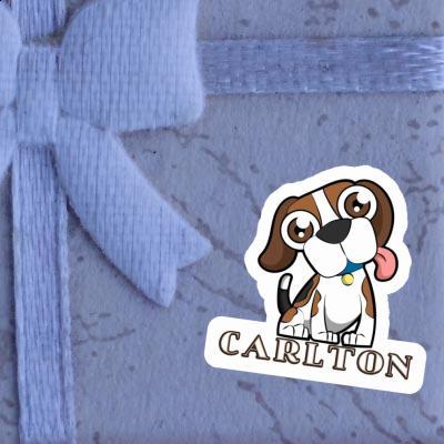 Sticker Carlton Beagle Image