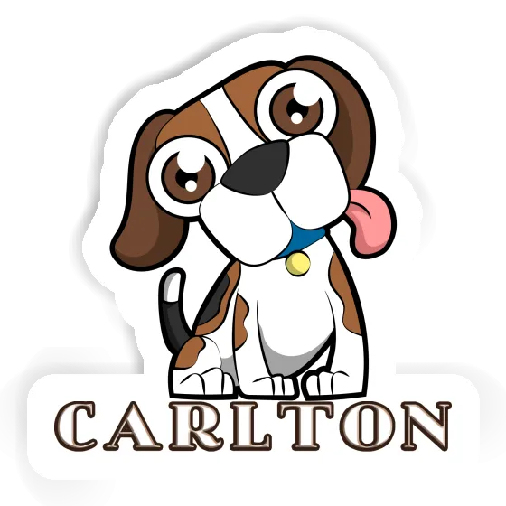 Autocollant Carlton Beagle Gift package Image