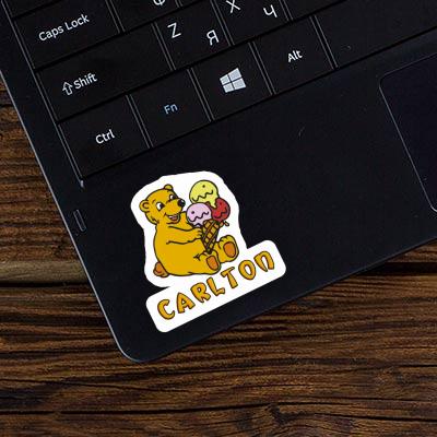 Carlton Sticker Ice Cream Bear Laptop Image