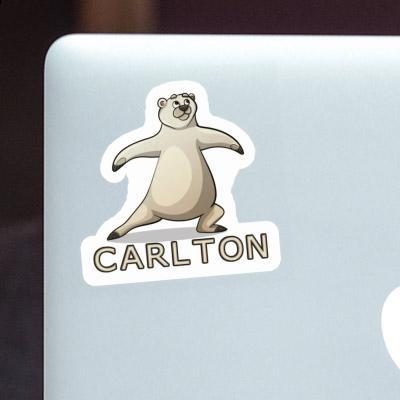 Ours du yoga Autocollant Carlton Laptop Image