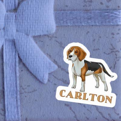 Sticker Carlton Beagle Gift package Image