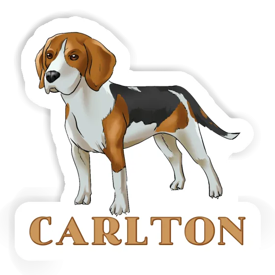 Aufkleber Beagle Carlton Laptop Image