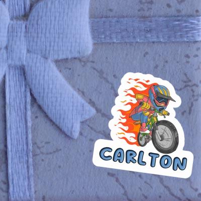 Carlton Autocollant Vététiste de freeride Image