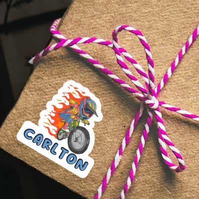 Carlton Sticker Freeride Biker Gift package Image