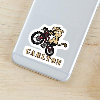 Sticker Bike Cat Carlton Notebook Image