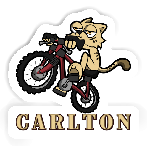 Sticker Bike Cat Carlton Gift package Image