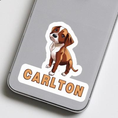 Boxer Autocollant Carlton Notebook Image