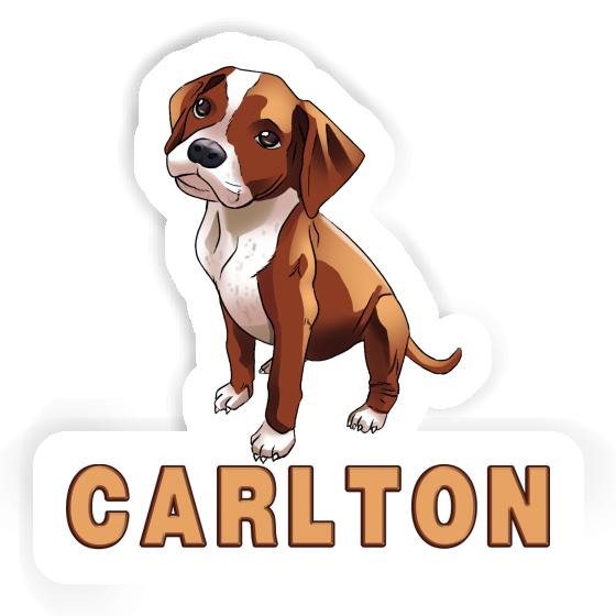 Sticker Carlton Boxer Dog Laptop Image