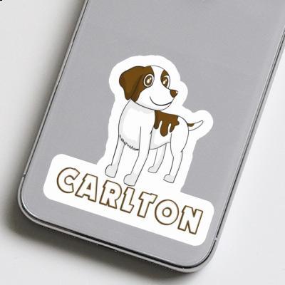 Sticker Carlton Bretagne Hund Gift package Image