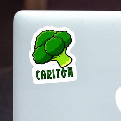 Broccoli Sticker Carlton Notebook Image