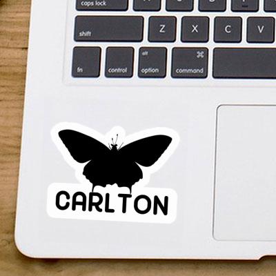 Papillon Autocollant Carlton Notebook Image