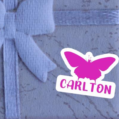 Autocollant Papillon Carlton Laptop Image