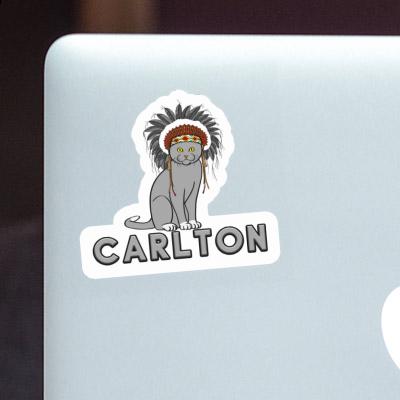 Sticker Indian Cat Carlton Laptop Image