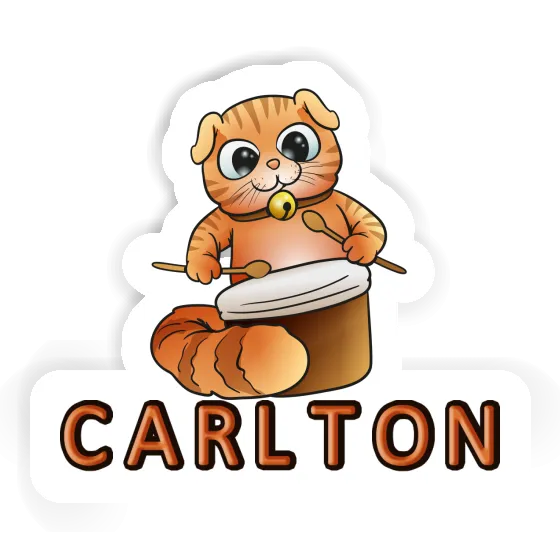 Sticker Drummer Cat Carlton Gift package Image