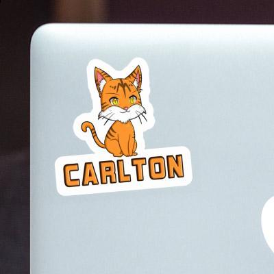 Carlton Sticker Cat Image