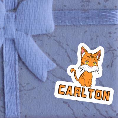 Carlton Sticker Cat Laptop Image