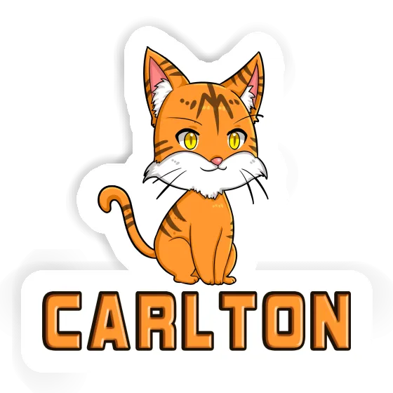 Carlton Sticker Cat Gift package Image