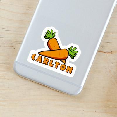 Carrot Sticker Carlton Gift package Image