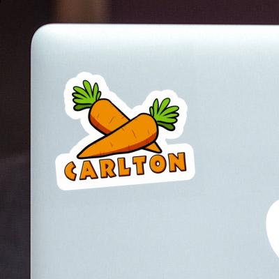 Carrot Sticker Carlton Gift package Image