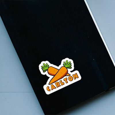 Carrot Sticker Carlton Laptop Image