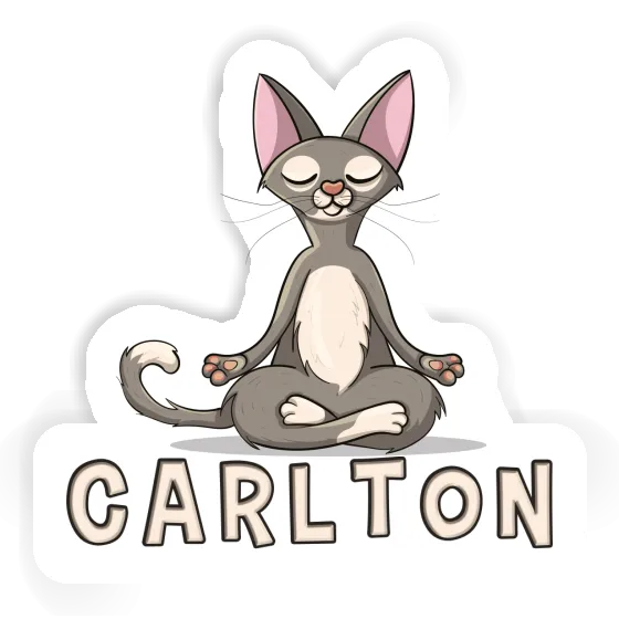 Yoga Sticker Carlton Laptop Image