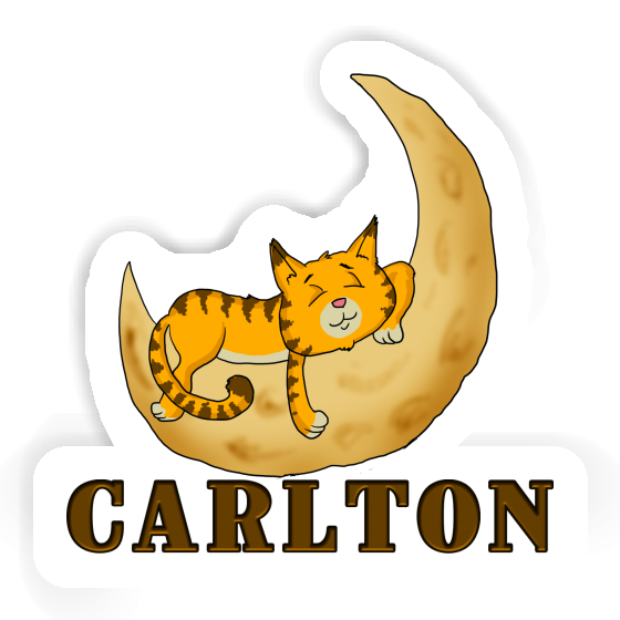 Sticker Sleeping Cat Carlton Gift package Image