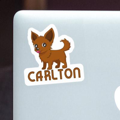 Sticker Carlton Chihuahua Notebook Image