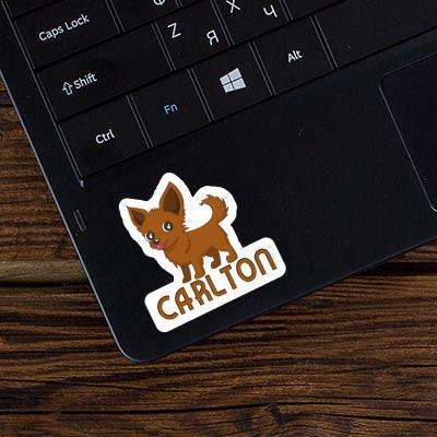 Sticker Carlton Chihuahua Image