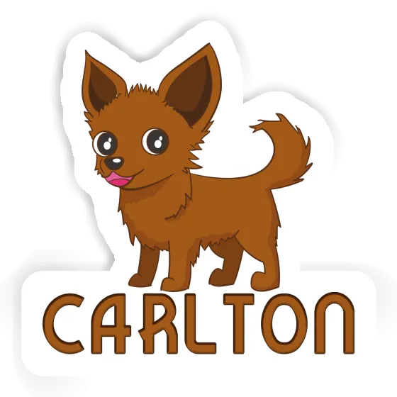 Sticker Carlton Chihuahua Gift package Image