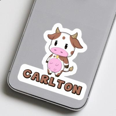 Kuh Sticker Carlton Gift package Image