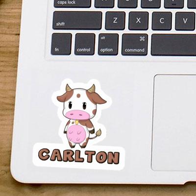 Kuh Sticker Carlton Gift package Image