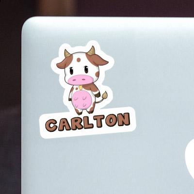 Kuh Sticker Carlton Gift package Image