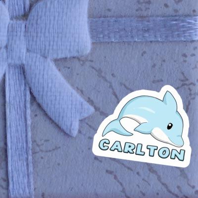 Carlton Autocollant Dauphin Gift package Image