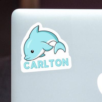 Sticker Carlton Dolphin Laptop Image