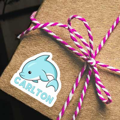 Delphin Sticker Carlton Notebook Image