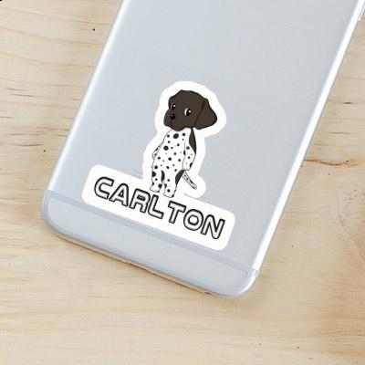 German Shorthaired Pointer Sticker Carlton Laptop Image