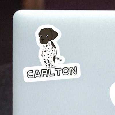 German Shorthaired Pointer Sticker Carlton Notebook Image