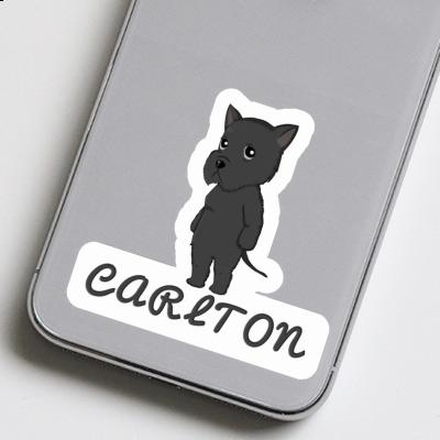 Carlton Sticker Giant Schnauzer Notebook Image