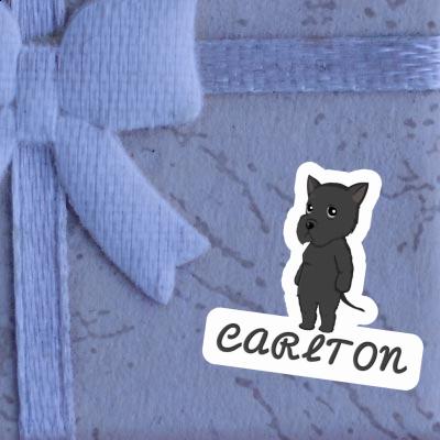 Carlton Sticker Riesenschnauzer Notebook Image