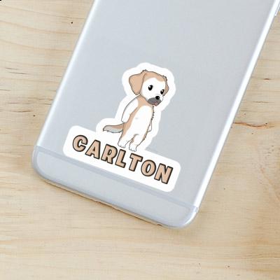 Golden Retriever Sticker Carlton Image