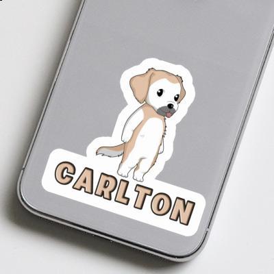 Autocollant Carlton Golden Retriever Gift package Image