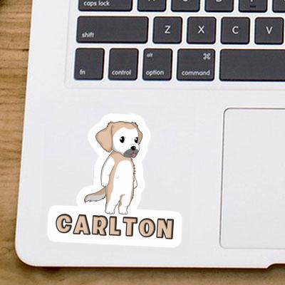 Sticker Golden Retriever Carlton Notebook Image