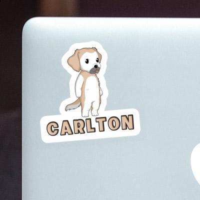 Golden Retriever Sticker Carlton Gift package Image