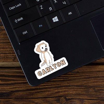 Autocollant Carlton Golden Retriever Image