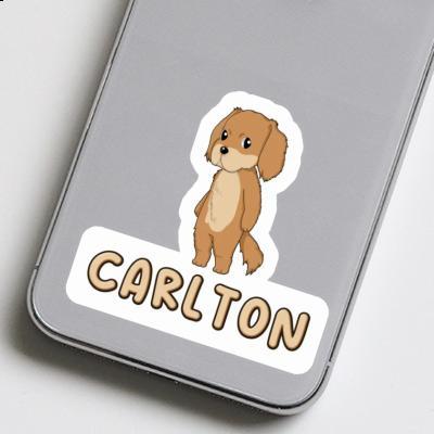 Sticker Carlton Hovawart Gift package Image